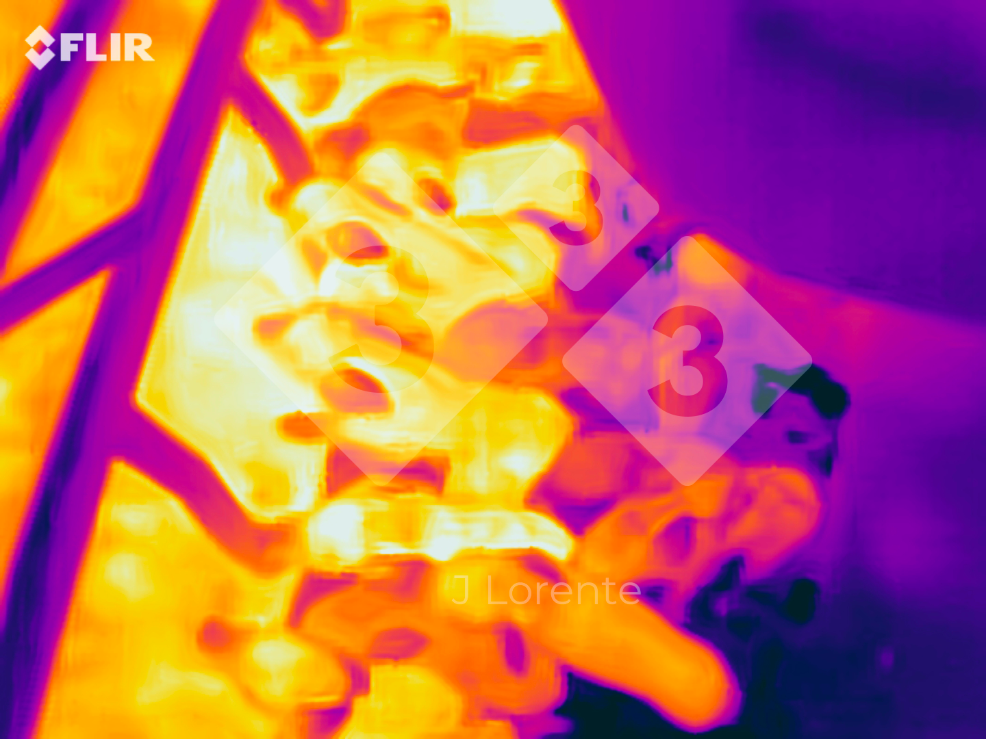 <p>Figure&nbsp;2. Thermal differences in neonatal&nbsp;piglets.</p>
